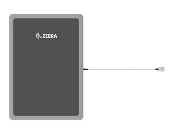 Zebra AN620